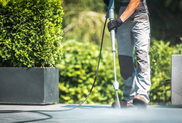 Best Gutter Cleaning  in Ashtabula, OH